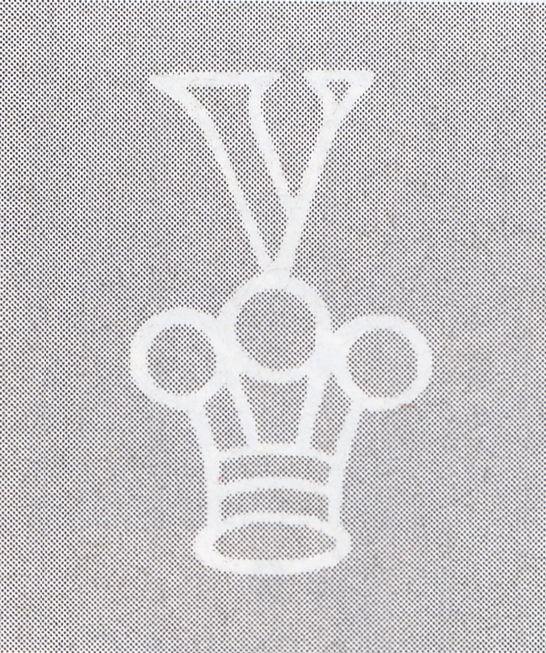 V_OVER_CROWN_wmk.jpg